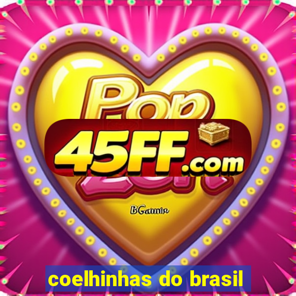 coelhinhas do brasil